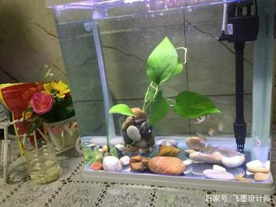 創寧水泵聲音（創寧水泵聲音大怎么解決）