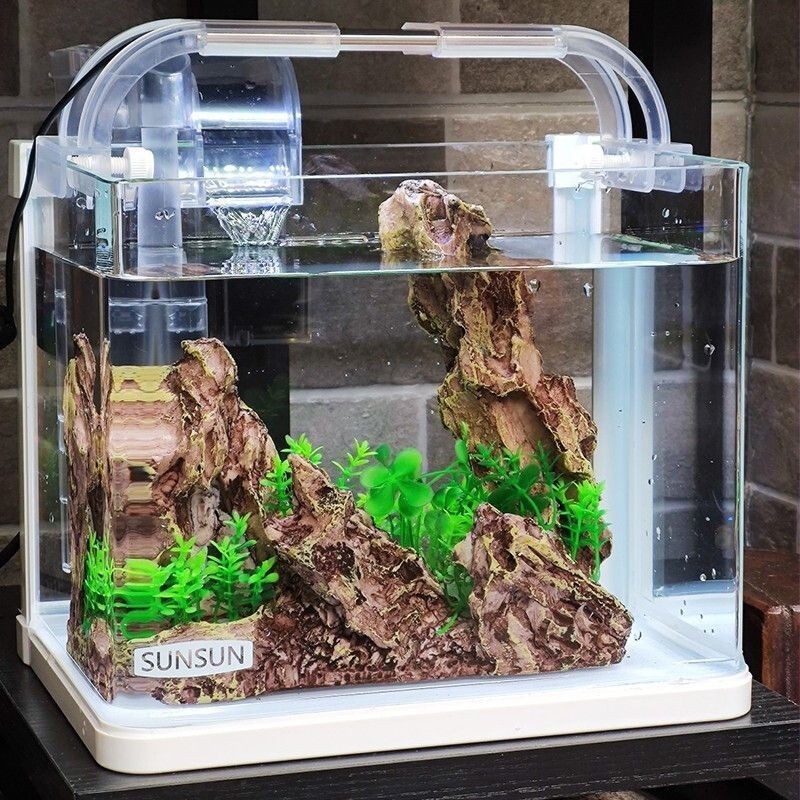 草缸與魚缸的區(qū)別：如何選擇草缸和魚缸？