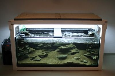 便宜的異型魚缸多少錢:如何選擇一個便宜的異型魚缸 魚缸百科 第3張 便宜的異型魚缸多少錢:如何選擇一個便宜的異型魚缸 便宜的異型魚缸多少錢:如何選擇一個便宜的異型魚缸 魚缸百科 第3張