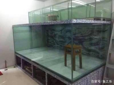 龍魚魚缸寬度多少vs祥龍魚場：祥龍魚場購買指南