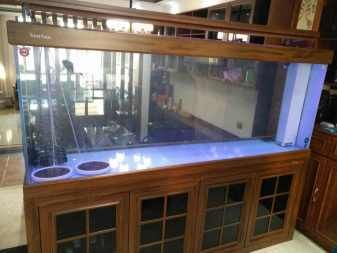 1.5米魚缸怎么搬運(yùn)上樓：1.5米的魚缸怎么搬運(yùn)上樓 1.5米魚缸怎么搬運(yùn)上樓：1.5米的魚缸怎么搬運(yùn)上樓 魚缸百科 第3張