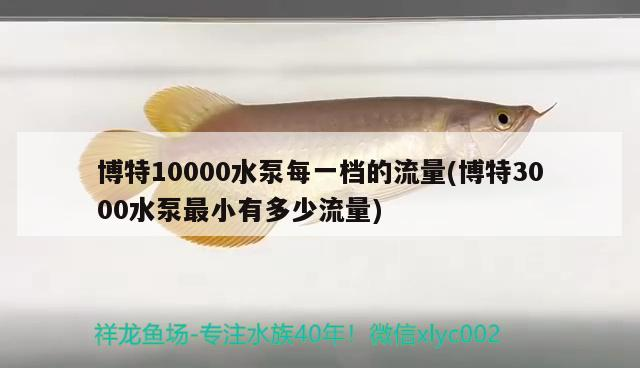 博特10000水泵每一檔的流量(博特3000水泵最小有多少流量)