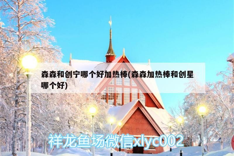 森森和創寧哪個好加熱棒(森森加熱棒和創星哪個好)