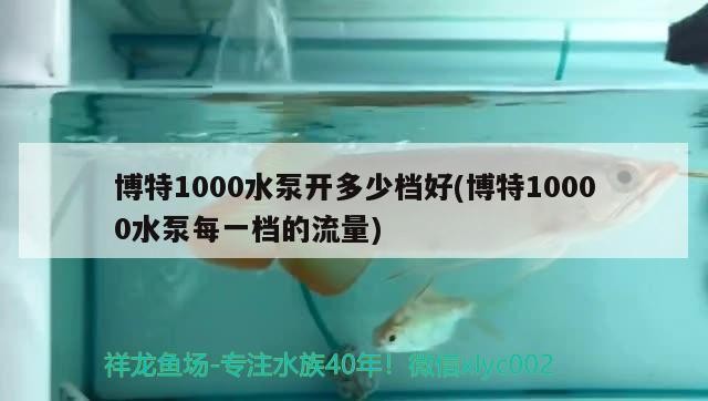 博特1000水泵開多少檔好(博特10000水泵每一檔的流量)