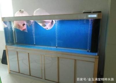 1.5米長50寬80高魚缸能養多少魚：1.5米長、50厘米寬、80厘米高的魚缸能養多少魚