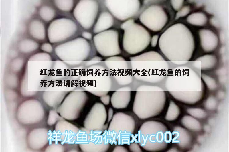 長垣縣佳璐水族漁具店