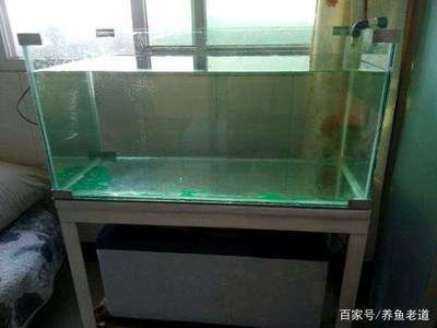 玻璃魚缸制作視頻教學：關于玻璃魚缸制作的幾個重要步驟和注意事項：玻璃魚缸