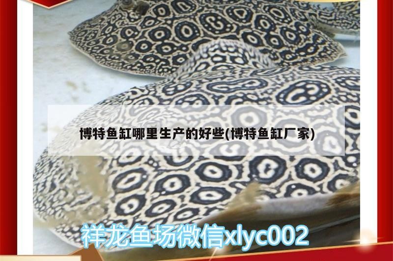 博特魚缸哪里生產的好些(博特魚缸廠家)
