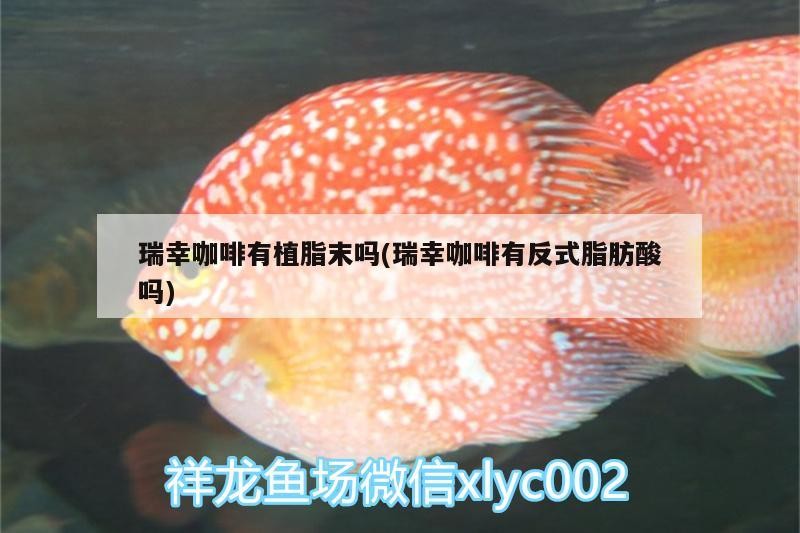 瑞幸咖啡有植脂末嗎(瑞幸咖啡有反式脂肪酸嗎)