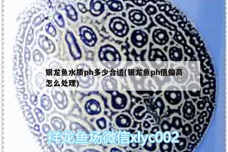 銀龍魚(yú)水質(zhì)ph多少合適(銀龍魚(yú)ph值偏高怎么處理)