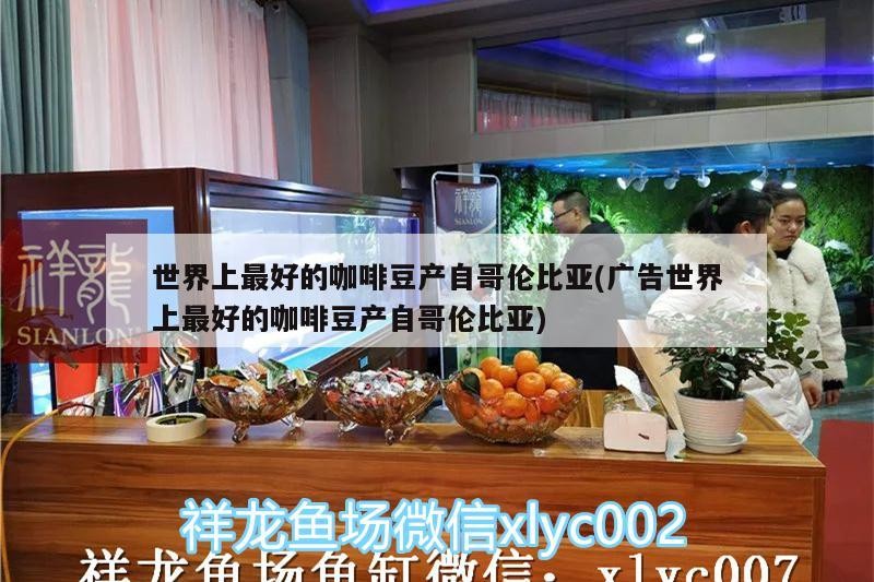 世界上最好的咖啡豆產自哥倫比亞(廣告世界上最好的咖啡豆產自哥倫比亞)