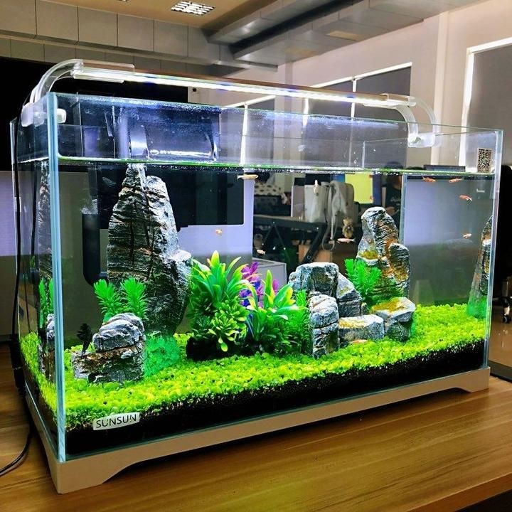 大魚缸怎么改小魚缸：如何將大魚缸改造為小魚缸 大魚缸怎么改小魚缸：如何將大魚缸改造為小魚缸 魚缸百科 第2張