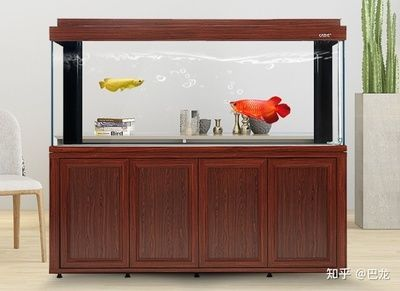 大魚缸怎么改小魚缸：如何將大魚缸改造為小魚缸 大魚缸怎么改小魚缸：如何將大魚缸改造為小魚缸 魚缸百科 第3張