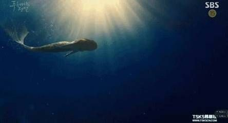 梧州水族館vs祥龍魚場（梧州水族館和祥龍魚場各有其特色和優勢） 梧州水族館vs祥龍魚場（梧州水族館和祥龍魚場各有其特色和優勢） 全國水族館企業名錄 第2張