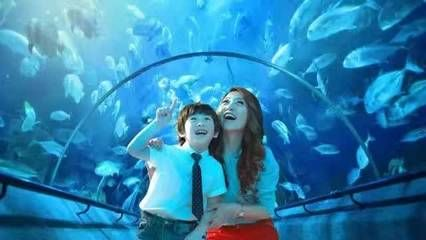 梧州水族館vs祥龍魚場（梧州水族館和祥龍魚場各有其特色和優勢） 梧州水族館vs祥龍魚場（梧州水族館和祥龍魚場各有其特色和優勢） 全國水族館企業名錄 第3張