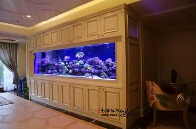大型魚缸怎么裝：大型魚缸養(yǎng)魚技巧