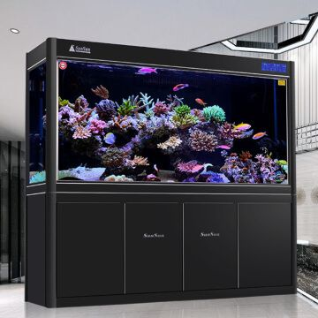 大型魚缸怎么裝：大型魚缸養(yǎng)魚技巧
