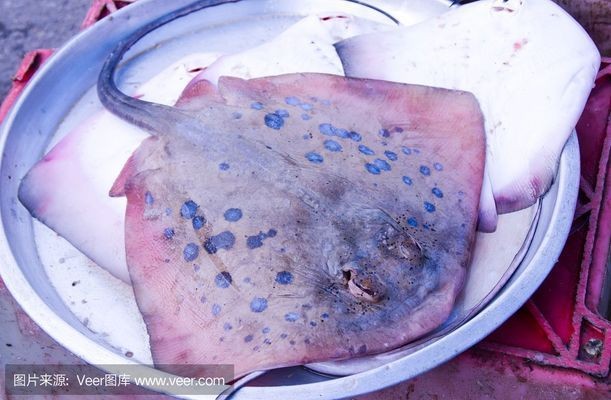 魟魚消化不良的處理方法：魟魚消化不良的處理方法[需手動填充][需手動填充]魚消化不良的處理方法