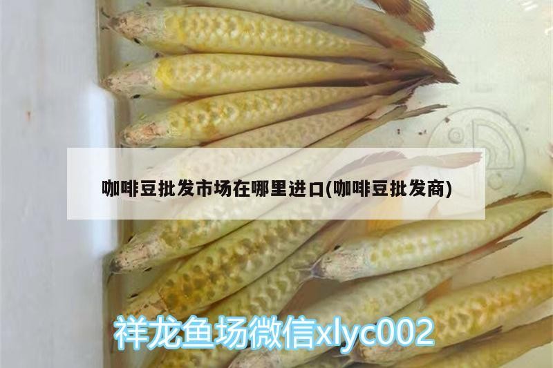 魚缸用增氧泵價格是多少:魚缸增氧機-xtrac增氧機-xtrac增氧機 咖啡豆批發市場在哪里進口(咖啡豆批發商) 馬來西亞咖啡 咖啡豆批發市場在哪里進口(咖啡豆批發商) 咖啡豆批發市場在哪里進口(咖啡豆批發商) 馬來西亞咖啡