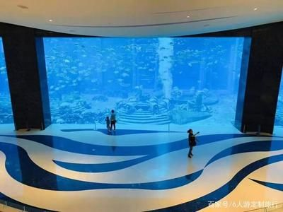 來賓水族館vs祥龍魚場（來賓水族館與祥龍魚場的區別）