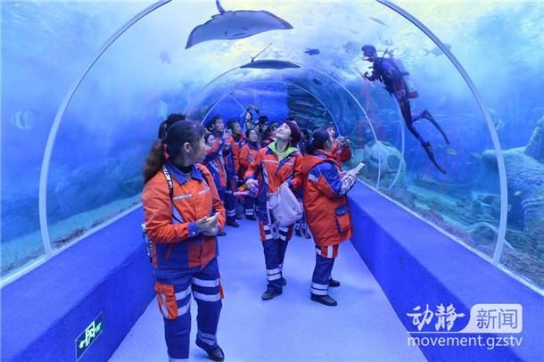 來賓水族館vs祥龍魚場（來賓水族館與祥龍魚場的區別）