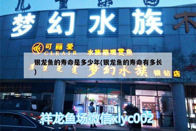 銀龍魚的壽命是多少年(銀龍魚的壽命有多長)