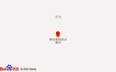 宜昌龍魚vs祥龍魚場（宜昌龍魚與祥龍魚場的區別）