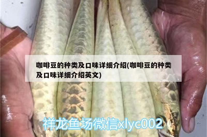 魚缸用增氧泵價格是多少:魚缸增氧機-xtrac增氧機-xtrac增氧機 咖啡豆的種類及口味詳細介紹(咖啡豆的種類及口味詳細介紹英文) 馬來西亞咖啡 咖啡豆的種類及口味詳細介紹(咖啡豆的種類及口味詳細介紹英文) 咖啡豆的種類及口味詳細介紹(咖啡豆的種類及口味詳細介紹英文) 馬來西亞咖啡