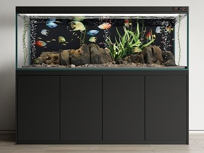 如何選擇紅龍魚背景墻材質？：紅龍魚生長階段與背景墻材質 如何選擇紅龍魚背景墻材質？：紅龍魚生長階段與背景墻材質 紅龍魚百科 第1張
