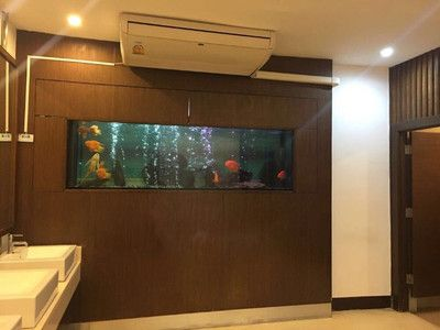 如何選擇紅龍魚背景墻材質？：紅龍魚生長階段與背景墻材質 如何選擇紅龍魚背景墻材質？：紅龍魚生長階段與背景墻材質 紅龍魚百科 第6張