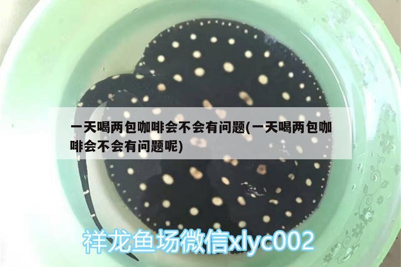 一天喝兩包咖啡會不會有問題(一天喝兩包咖啡會不會有問題呢)