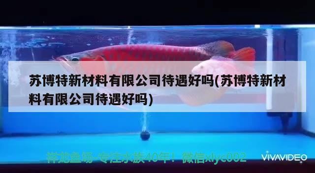 蘇博特新材料有限公司待遇好嗎(蘇博特新材料有限公司待遇好嗎)