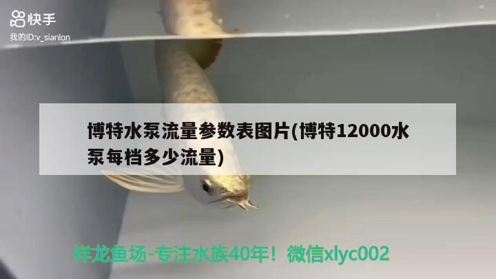 博特水泵流量參數表圖片(博特12000水泵每檔多少流量)