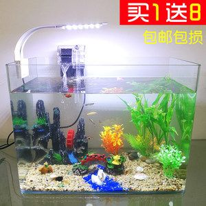 創魔魚缸裝飾品：《創造與魔法》中獲取魚缸裝飾品的幾種方法