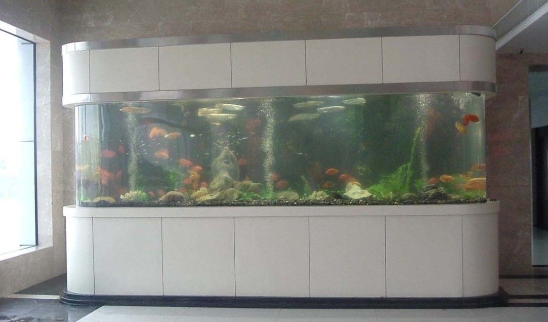 玻璃魚缸裂開了怎么修補視頻：修補玻璃魚缸的基本步驟