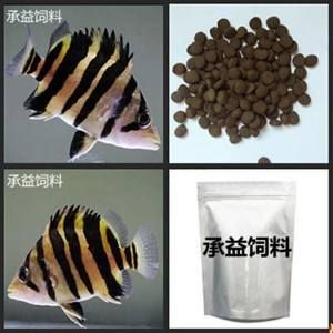印尼虎魚吃飼料嗎怎么喂食：印尼虎魚吃飼料嗎