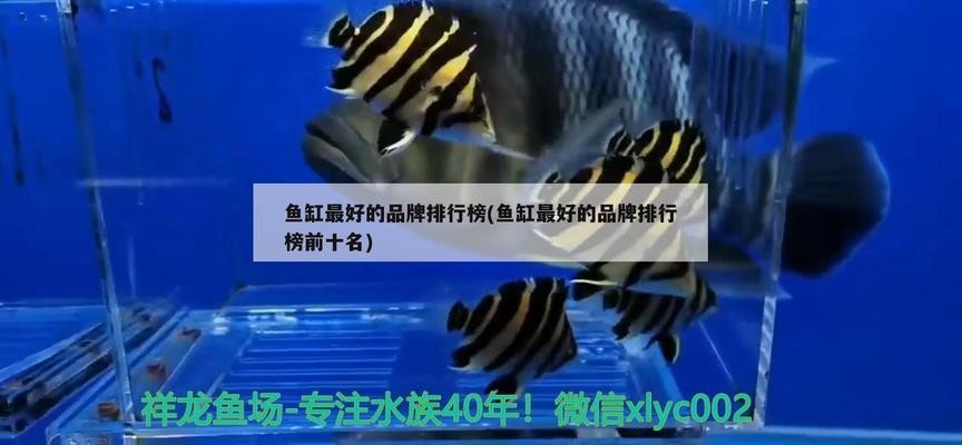 創(chuàng)寧10w水泵（創(chuàng)寧10w水泵流量有1000l嗎）