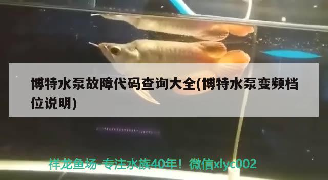 博特水泵故障代碼查詢大全(博特水泵變頻檔位說明)