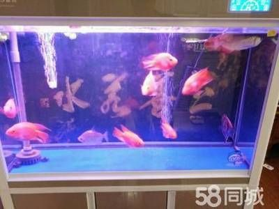 森森1058魚缸