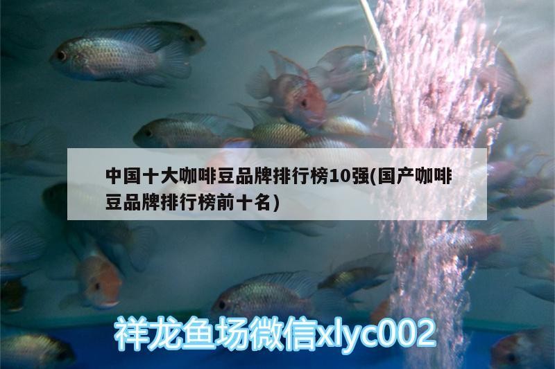 中國十大咖啡豆品牌排行榜10強(國產咖啡豆品牌排行榜前十名)