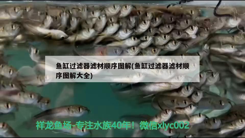 魚缸過濾器濾材順序圖解(魚缸過濾器濾材順序圖解大全)