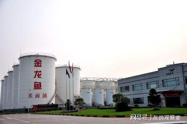 博特水泵比創寧好嗎（博特水泵比創寧好嗎怎么樣）