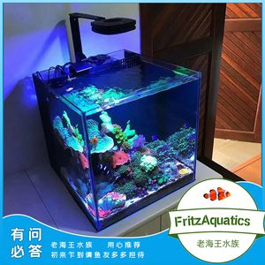 60公分魚缸能養多大的鯉魚視頻：60公分的魚缸適合養幾條錦鯉