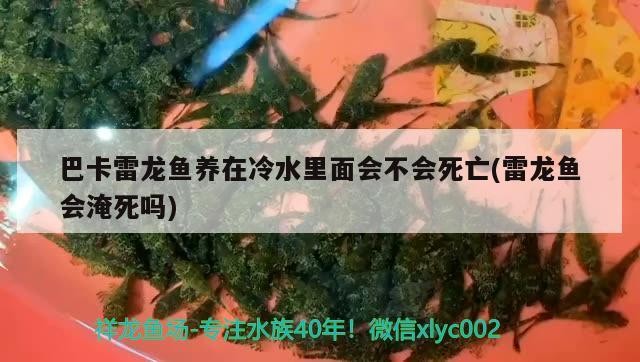 魚(yú)缸水泵什么牌子好創(chuàng)寧水泵哪個(gè)牌子好創(chuàng)寧水泵哪個(gè)好，什么品牌的魚(yú)缸水泵靜音？
