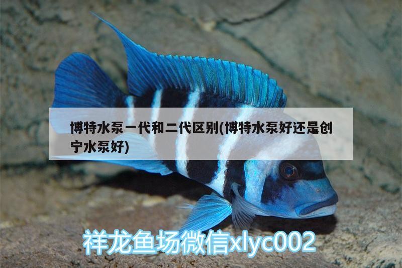 博特水泵一代和二代區別(博特水泵好還是創寧水泵好)