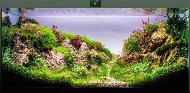 博特水泵怎么調(diào)流量大小圖解（博特水泵怎么調(diào)流量大小圖解視頻） 博特水泵怎么調(diào)流量大小圖解（博特水泵怎么調(diào)流量大小圖解視頻） 博特水族