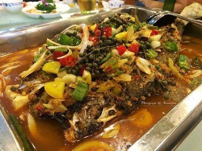 黑金魟魚繁殖成功率提升方法：黑金魟魚繁殖水質管理要點