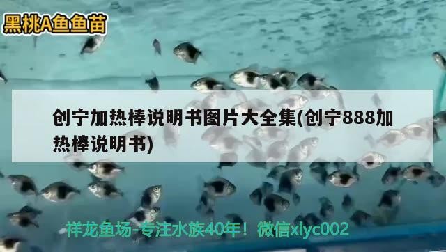 創寧加熱棒說明書圖片大全集(創寧888加熱棒說明書)