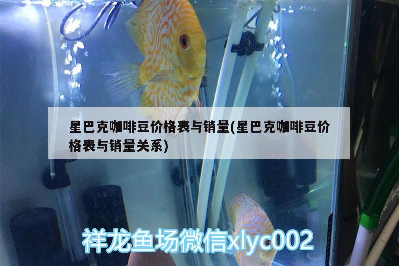 星巴克咖啡豆價格表與銷量(星巴克咖啡豆價格表與銷量關系)