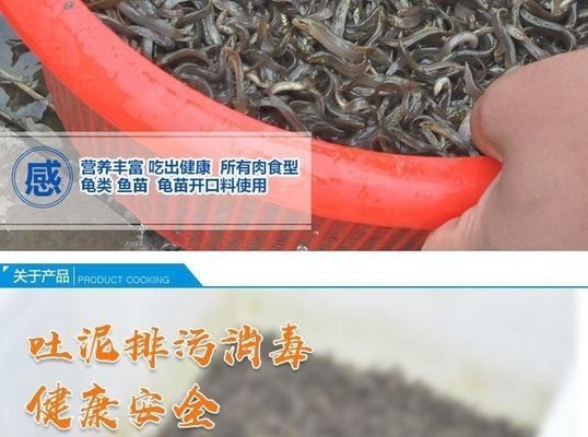 如何給龍魚定期做內(nèi)外寄飼料vs祥龍魚場：為龍魚提供定期內(nèi)外寄飼料的重要性及其選擇標準